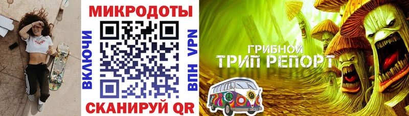 Псилоцибиновые грибы Psilocybine cubensis  где продают наркотики  Кореновск 