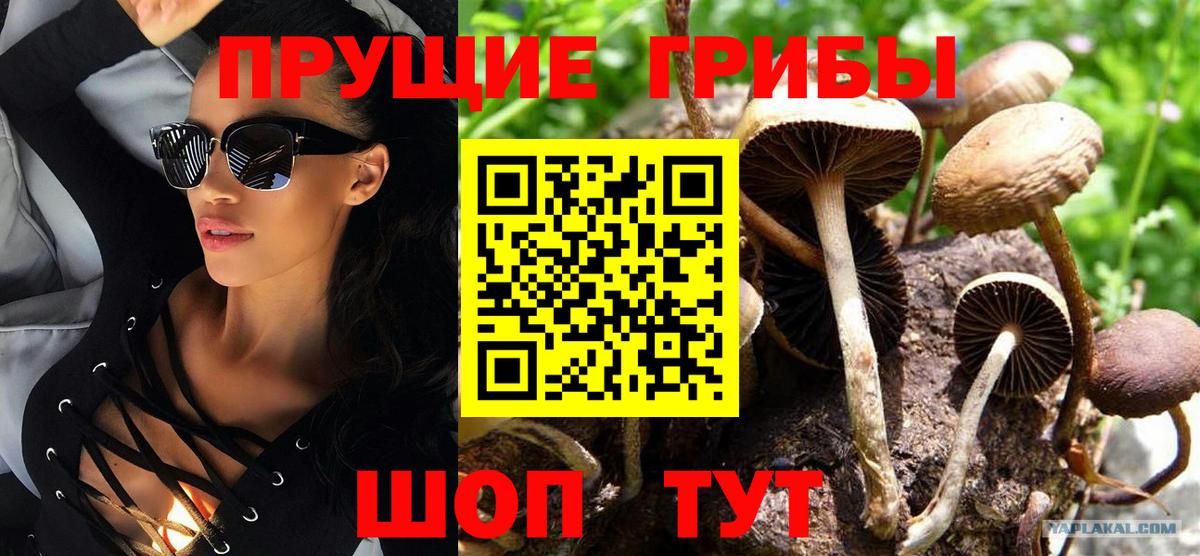 Кореновск  Псилоцибиновые грибы Magic Shrooms  Вход с VPN 